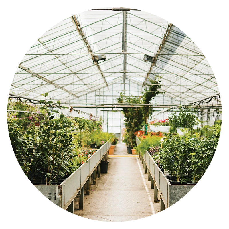 Water treatment systems designed for agriculture to provide clean, safe, and efficient water for irrigation and crop production.